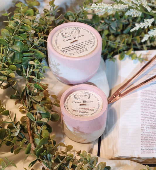 Spring & Summer Collection