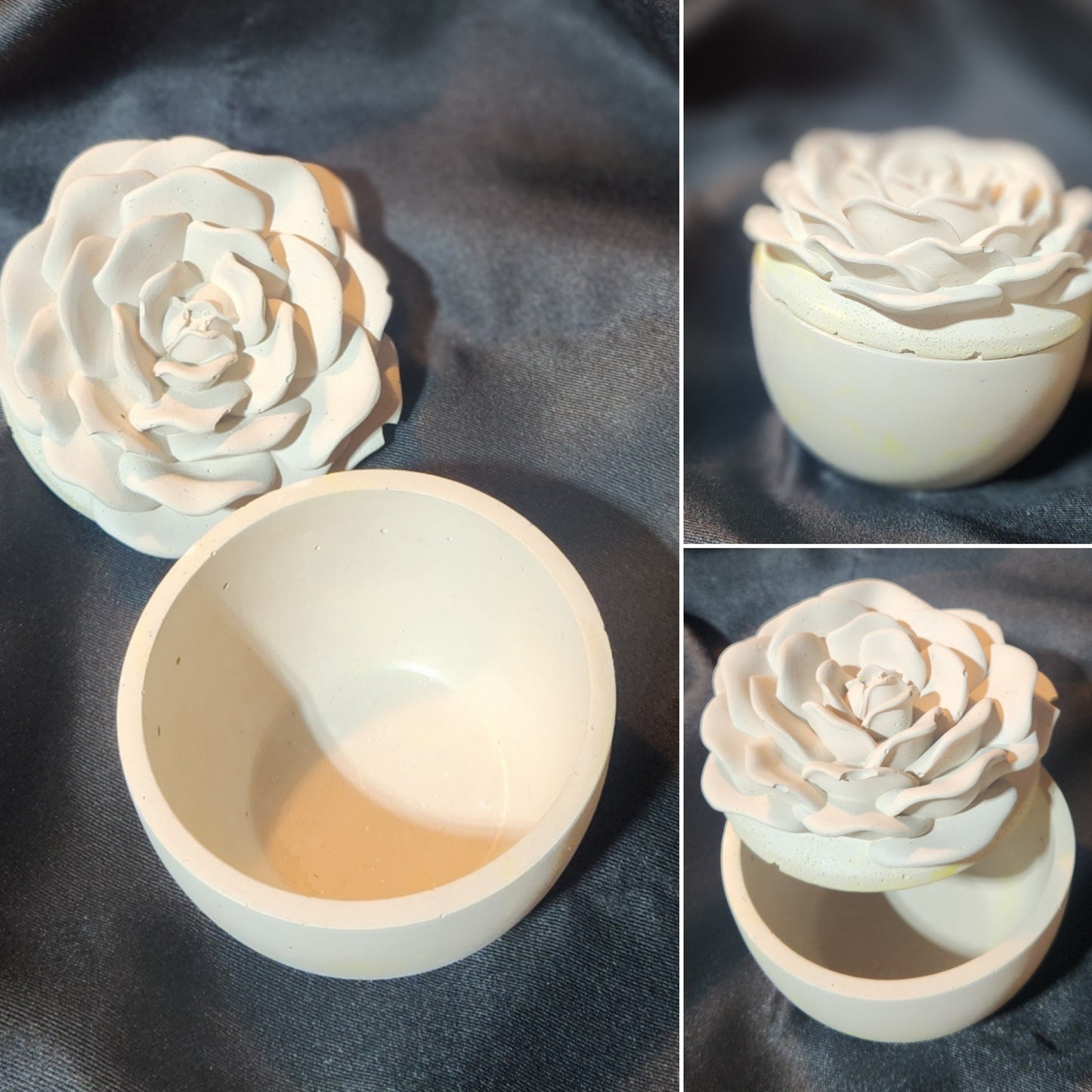 Concrete Rose